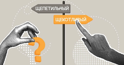 Положение щекотливое или щепетильное?