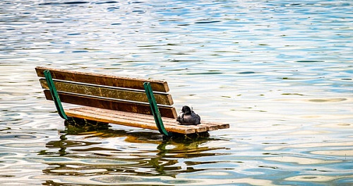 Значение слов "затопление", "подтопление", "паводок"…