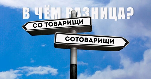 Со товарищи и сотоварищи. В чём разница?
