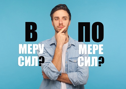 В меру сил или по мере сил?