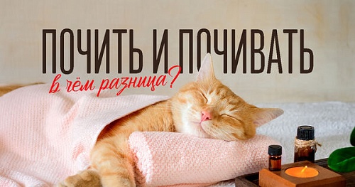 Почить и почивать: в чём разница?