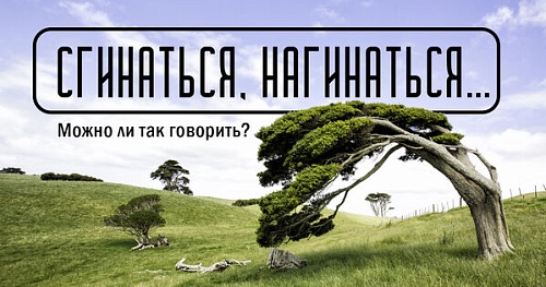 Сгинаться, нагинаться… Можно ли так говорить?