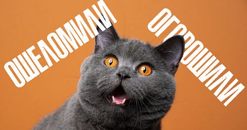 Ошеломить и огорошить