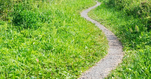 Проторённая или прото́ренная дорожка?