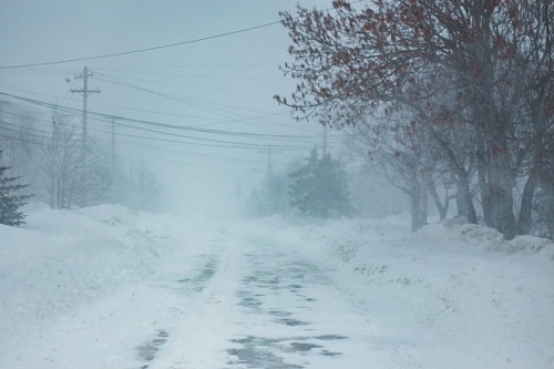 «Идут белые снеги…»