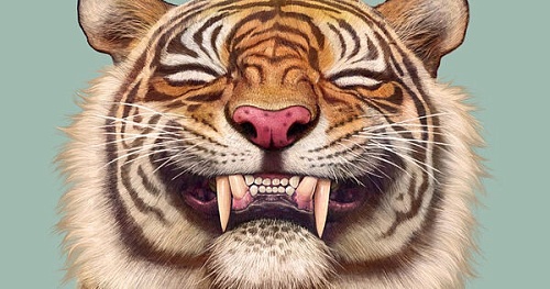 «Зубастые» премудрости