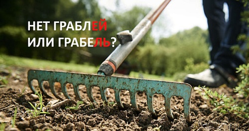 Нет граблей или грабель?