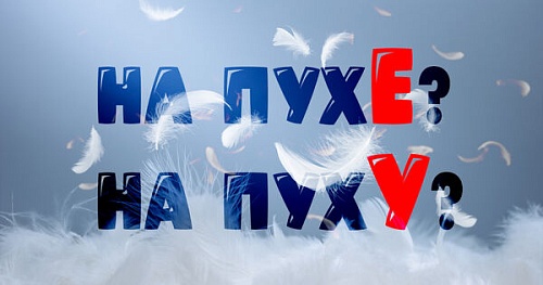 На пухе или на пуху?